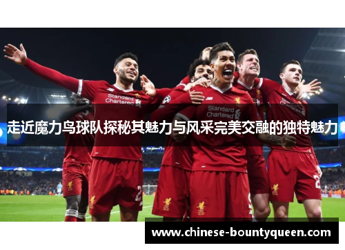走近魔力鸟球队探秘其魅力与风采完美交融的独特魅力