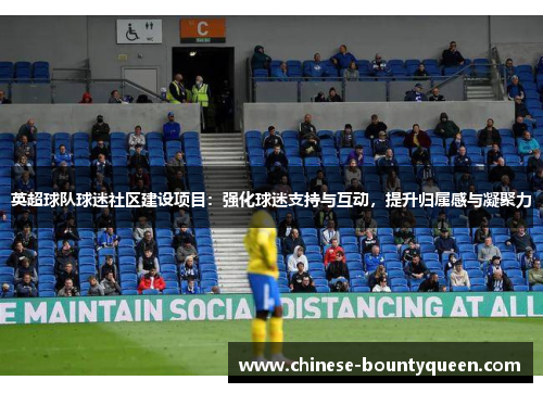 英超球队球迷社区建设项目:强化球迷支持与互动,提升归属感与凝聚力 英超球队球迷社区建设项目:强化球迷支持与互动,提升归属感与凝聚力