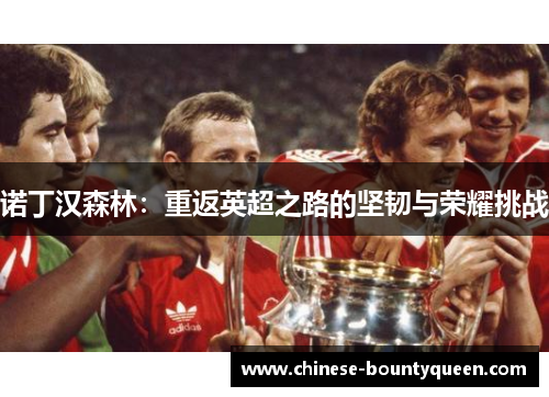 诺丁汉森林:重返英超之路的坚韧与荣耀挑战 诺丁汉森林:重返英超之路的坚韧与荣耀挑战