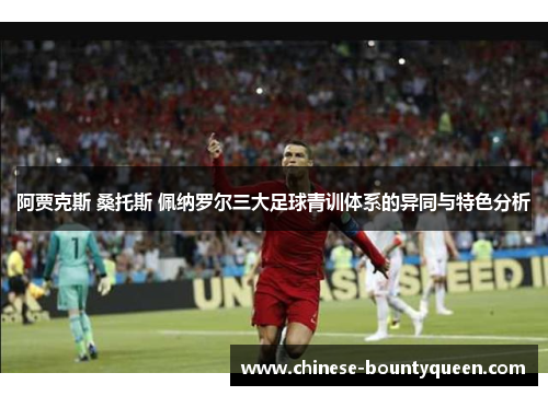 阿贾克斯 桑托斯 佩纳罗尔三大足球青训体系的异同与特色分析 阿贾克斯 桑托斯 佩纳罗尔三大足球青训体系的异同与特色分析